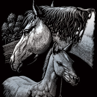 Képkarcoló készlet karctűvel - 20x25 cm - Ezüst - Lovak