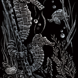 Képkarcoló készlet karctűvel - 13x18 cm - Ezüst - Tengeri csikók