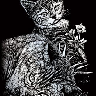 Képkarcoló készlet karctűvel - 13x18 cm - Ezüst - Cicák