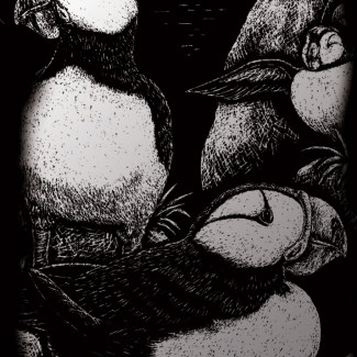 Képkarcoló készlet karctűvel - 13x18 cm - Ezüst - Sarki madár