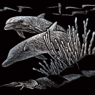 Képkarcoló készlet karctűvel - 13x18 cm - Ezüst - Delfinek