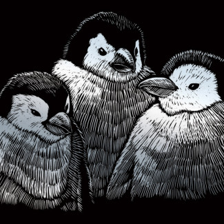 Képkarcoló készlet karctűvel - 13x18 cm - Ezüst - Pingvinek