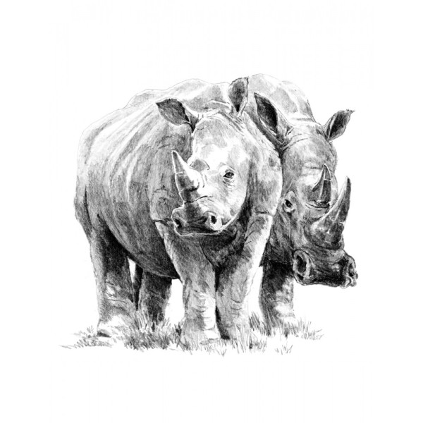 Rajztanítás - Vázlatrajz készlet kellékekkel - 23x30 cm - Orrszarvúk