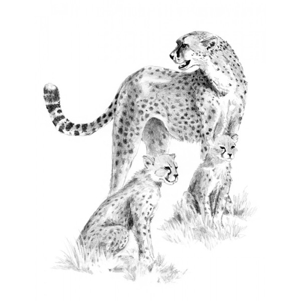Rajztanítás - Vázlatrajz készlet kellékekkel - 23x30 cm - Gepárd