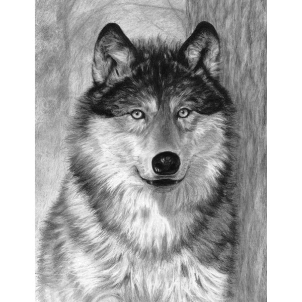 Rajztanítás - Vázlatrajz készlet kellékekkel - 23x30 cm - Farkas Rajztanítás - Vázlatrajz készlet kellékekkel - 23x30 cm - Farkas