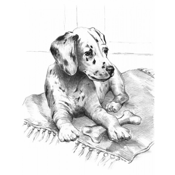 Rajztanítás - Vázlatrajz készlet kellékekkel - 23x30 cm - Dalmata Rajztanítás - Vázlatrajz készlet kellékekkel - 23x30 cm - Dalmata