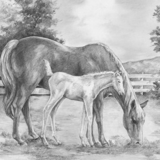 Rajztanítás - Vázlatrajz készlet kellékekkel - 40x32 cm - Ló és kiscsikó