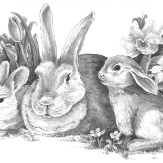 Rajztanítás - Vázlatrajz készlet kellékekkel - 40x32 cm - Nyúlcsalád