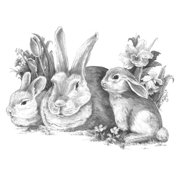 Rajztanítás - Vázlatrajz készlet kellékekkel - 40x32 cm - Nyúlcsalád Rajztanítás - Vázlatrajz készlet kellékekkel - 40x32 cm - Nyúlcsalád