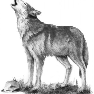 Rajztanítás - Vázlatrajz készlet ceruzákkal és útmutatóval - 13x18 cm - Vázlatkészlet - Farkasüvöltés