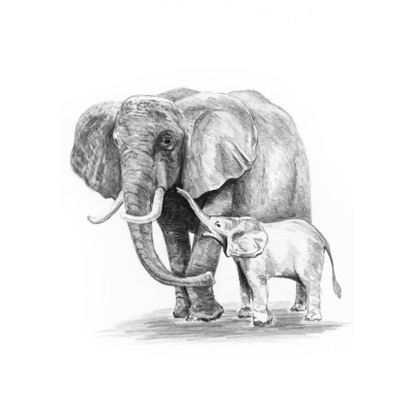 Rajztanítás - Vázlatrajz készlet ceruzákkal és útmutatóval - 13x18 cm - Vázlatkészlet - Elefánt Rajztanítás - Vázlatrajz készlet ceruzákkal és útmutatóval - 13x18 cm - Vázlatkészlet - Elefánt