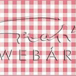 Happy Papír kétoldalas - Kockás, rózsaszínű karton, 29,5x20cm, 1 lap