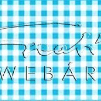 Happy Papír kétoldalas - Kockás, világos kék karton, 29,5x20cm, 1 lap