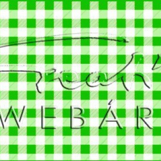 Happy Papír kétoldalas - Kockás élénk/világos zöld karton, 29,5x20cm, 1 lap