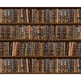 Kétoldalas mintás karton - Könyvtár mintás, kétoldalas színes karton, 1 lap