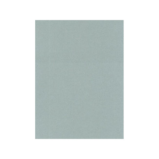 Selyempapír - Világosszürke selyempapír 50x70 25 LAP Selyempapír - Világosszürke selyempapír 50x70 25 LAP