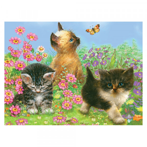 SZÁMOZOTT SZÍNEZŐ KÉSZLET, 20X25CM - CICÁK SZÁMOZOTT SZÍNEZŐ KÉSZLET, 20X25CM - CICÁK