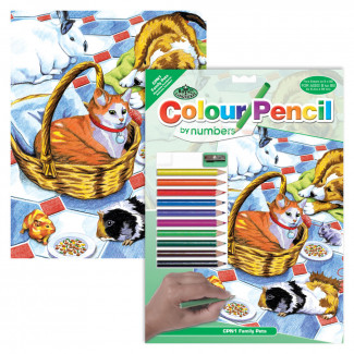 SZÁMOZOTT SZÍNEZŐ KÉSZLET, 20X25CM - CSALÁDI KEDVENCEK