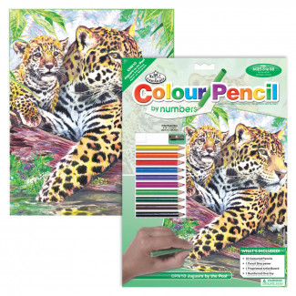 SZÁMOZOTT SZÍNEZŐ KÉSZLET, 20X25CM - JAGUÁR