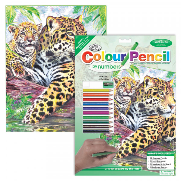 SZÁMOZOTT SZÍNEZŐ KÉSZLET, 20X25CM - JAGUÁR SZÁMOZOTT SZÍNEZŐ KÉSZLET, 20X25CM - JAGUÁR