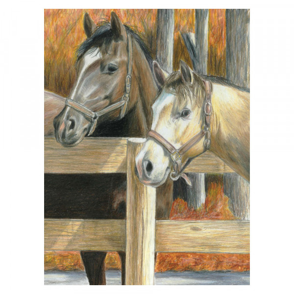 SZÁMOZOTT SZÍNEZŐ KÉSZLET, 20X25CM - LOVAK SZÁMOZOTT SZÍNEZŐ KÉSZLET, 20X25CM - LOVAK