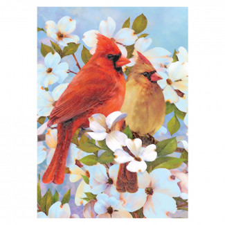 SZÁMOZOTT SZÍNEZŐ,-RAJZ KÉSZLET, MINI - VÖRÖSBEGYEK