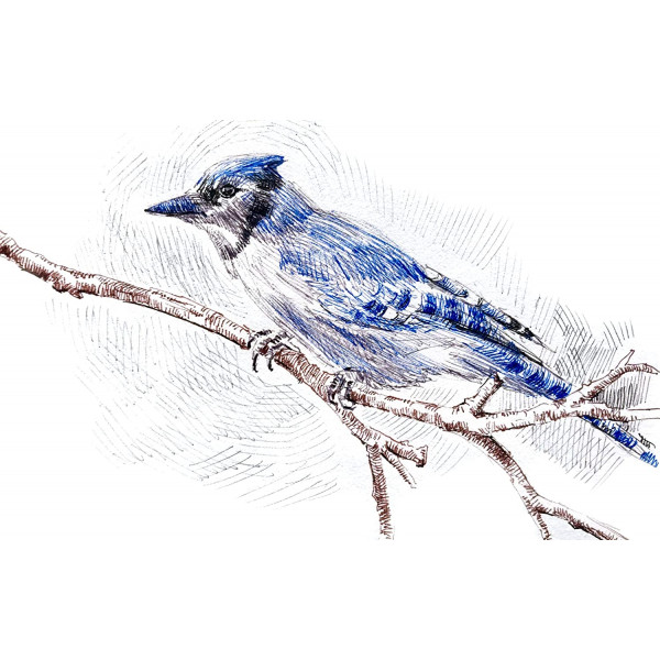 Winsor&Newton FINELINER TŰFILC, COOL GREY- 0,1 MM